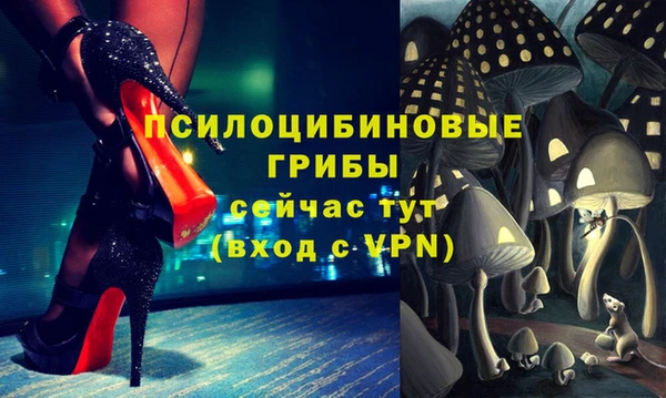 прущие крисы Армянск