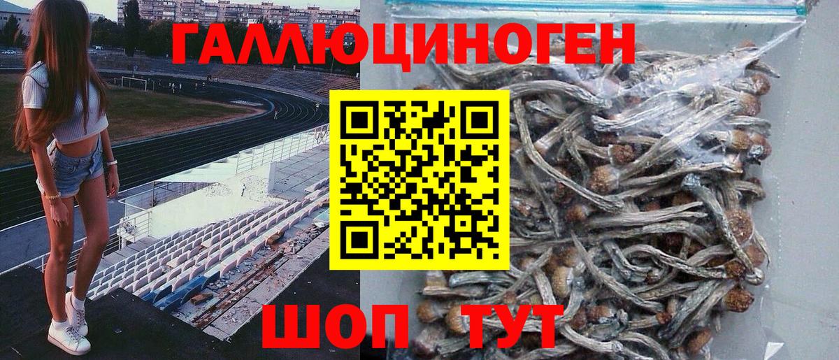 Псилоцибиновые грибы мицелий Баксан