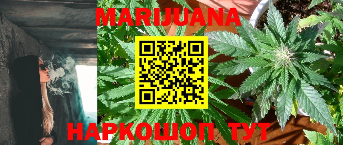 Бошки марихуана OG Kush Баксан